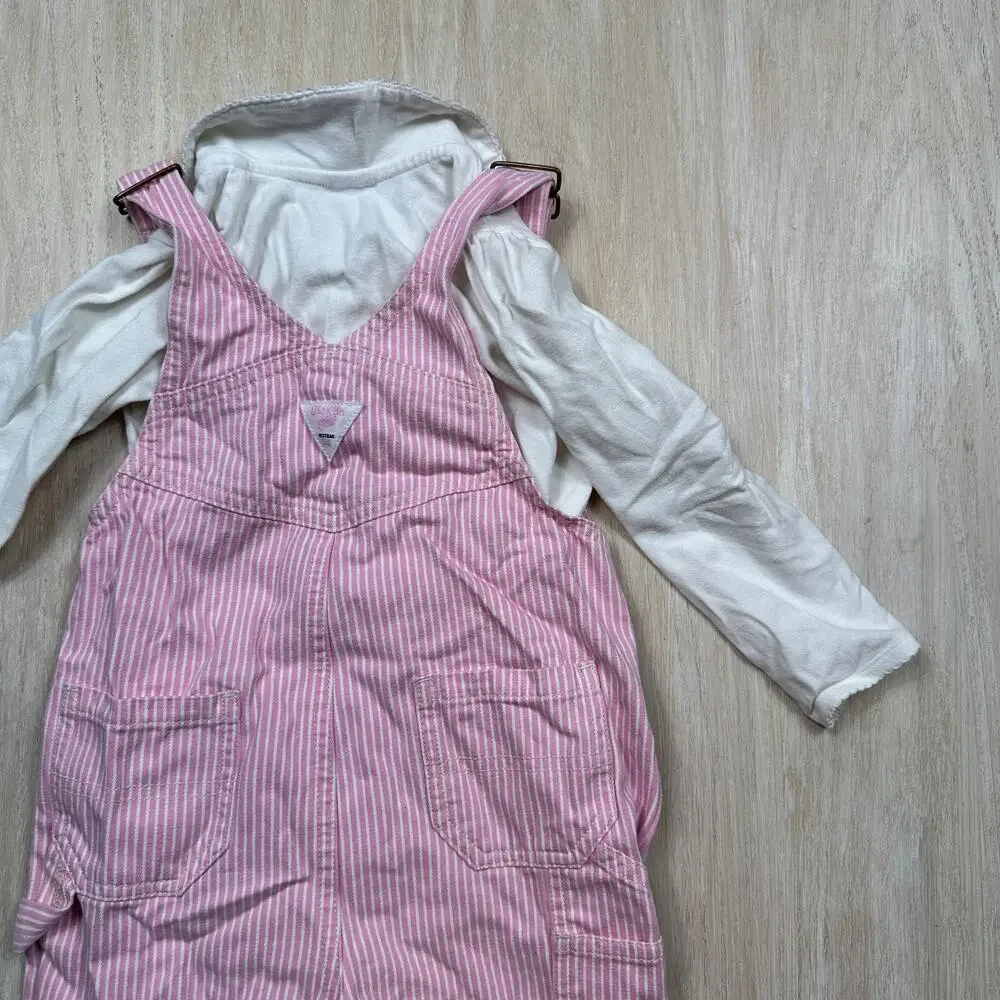 OshKosh Pink Hickory Stripe Overalls Floral Cottagecore Country Outfit Set 24M